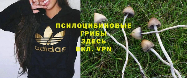 MDMA Лагань