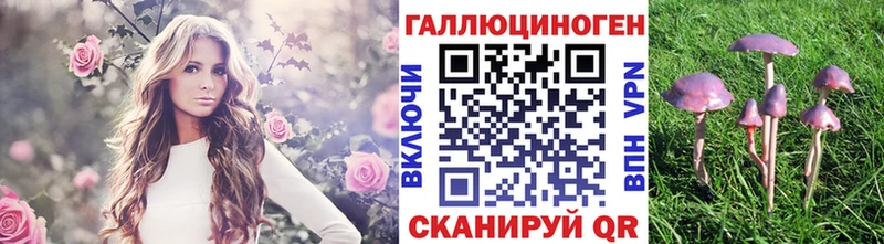 omg tor  Новая Усмань  площадка как зайти  как найти закладки  Галлюциногенные грибы MAGIC MUSHROOMS 